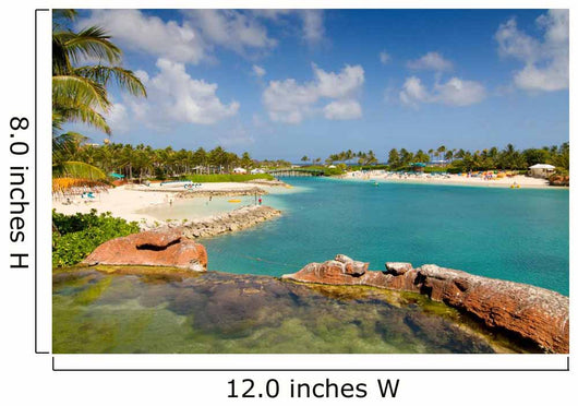 Tropical Paradise Island Beach Wall Mural