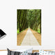 Stone Path and Tranquail
