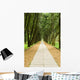 Stone Path and Tranquail