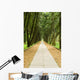 Stone Path and Tranquail