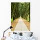 Stone Path and Tranquail