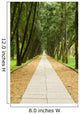 Stone Path and Tranquail