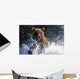 Charging Grizzly Splashing through Wall Decal