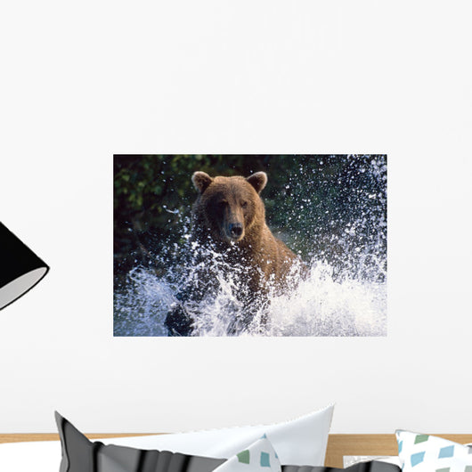 Charging Grizzly Splashing through Wall Decal