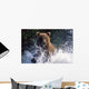 Charging Grizzly Splashing through Wall Decal