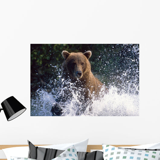 Charging Grizzly Splashing through Wall Decal