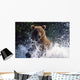 Charging Grizzly Splashing through Wall Decal