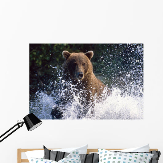 Charging Grizzly Splashing through Wall Decal