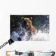 Charging Grizzly Splashing through Wall Decal