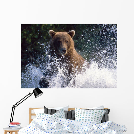 Charging Grizzly Splashing through Wall Decal