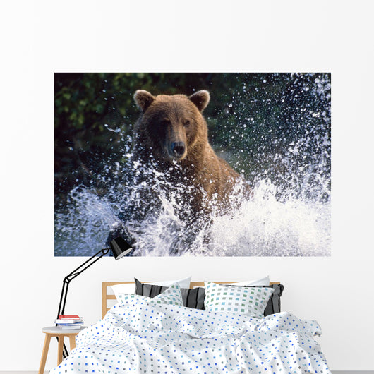 Charging Grizzly Splashing through Wall Decal