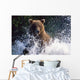 Charging Grizzly Splashing through Wall Decal