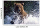 Charging Grizzly Splashing through Wall Decal