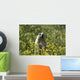 Hoary Marmot Stands Upright Wall Decal