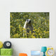 Hoary Marmot Stands Upright Wall Decal