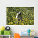 Hoary Marmot Stands Upright Wall Decal