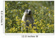 Hoary Marmot Stands Upright Wall Decal