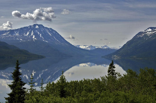 Scenic Tutshi Lake and Wall Decal