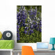 Up Lupine Wildflowers Alaska Wall Decal