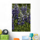 Up Lupine Wildflowers Alaska Wall Decal