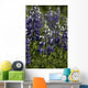 Up Lupine Wildflowers Alaska Wall Decal
