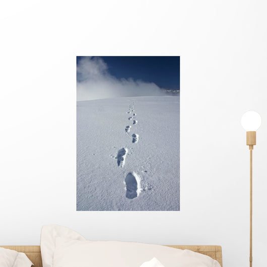 Hiker's Boot Tracks Wall Decal