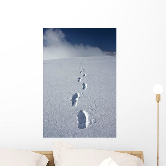 Hiker's Boot Tracks Wall Decal