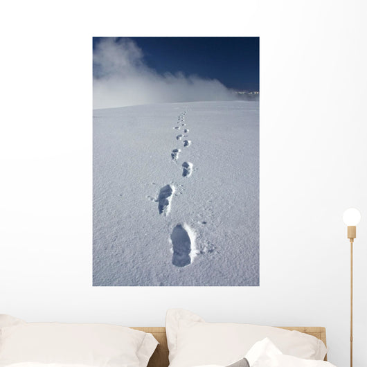 Hiker's Boot Tracks Wall Decal
