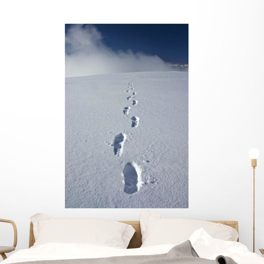 Hiker's Boot Tracks Wall Decal