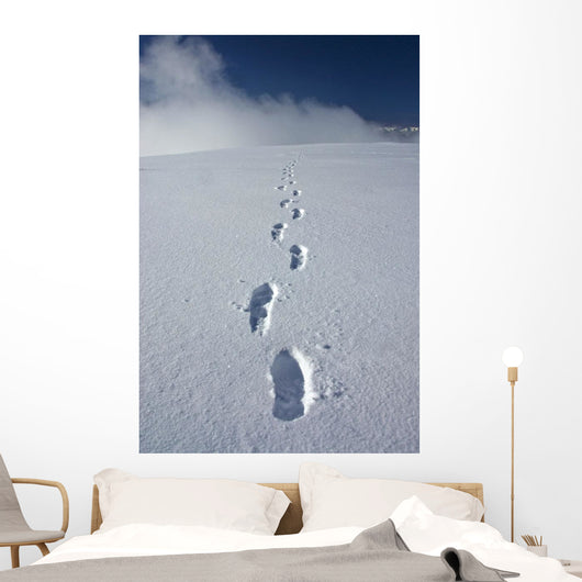 Hiker's Boot Tracks Wall Decal