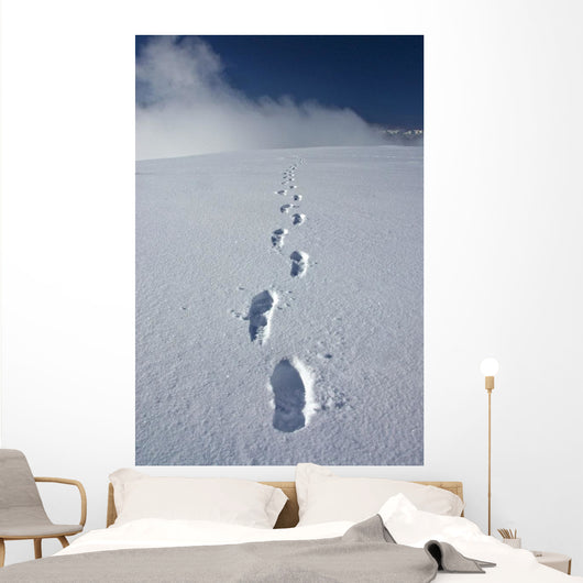 Hiker's Boot Tracks Wall Decal