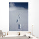 Hiker's Boot Tracks Wall Decal