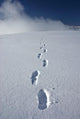 Hiker's Boot Tracks Wall Decal
