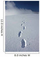 Hiker's Boot Tracks Wall Decal