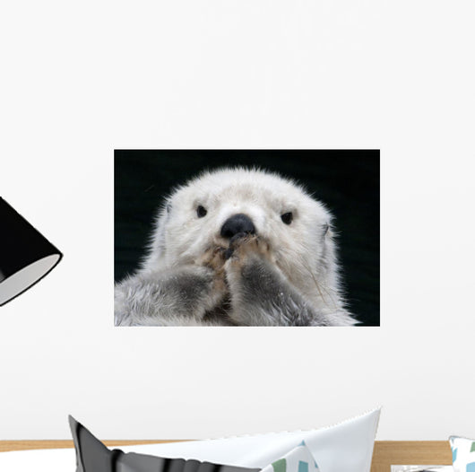 Captive up Sea Otter Wall Decal