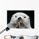 Captive up Sea Otter Wall Decal