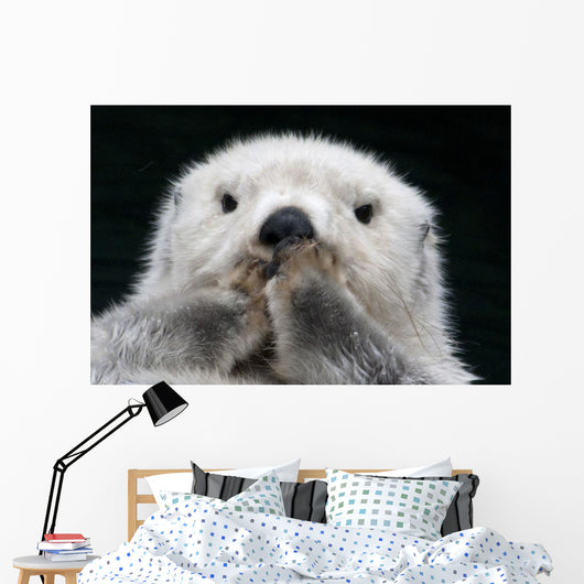 Captive up Sea Otter Wall Decal