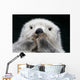 Captive up Sea Otter Wall Decal