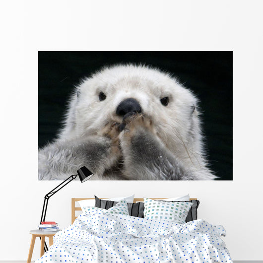 Captive up Sea Otter Wall Decal
