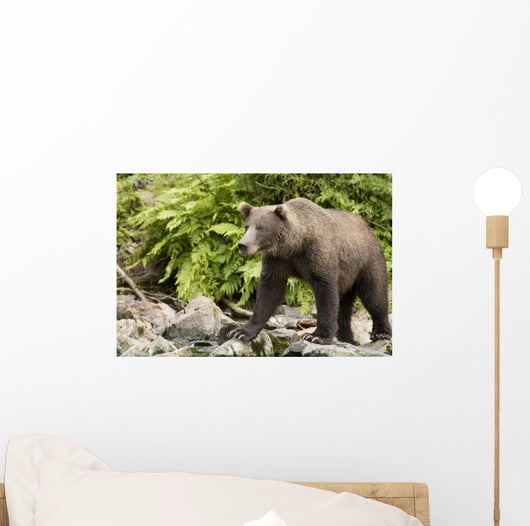 Adult Brown Bear Standing Wall Decal