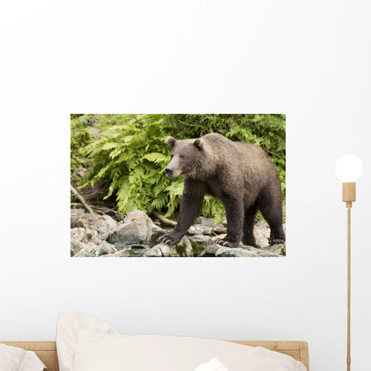 Adult Brown Bear Standing Wall Decal