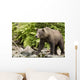 Adult Brown Bear Standing Wall Decal