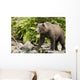 Adult Brown Bear Standing Wall Decal