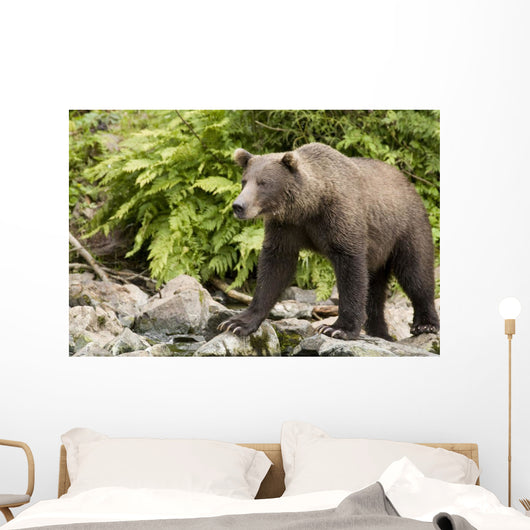 Adult Brown Bear Standing Wall Decal