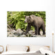Adult Brown Bear Standing Wall Decal