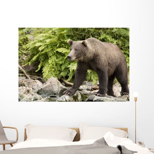 Adult Brown Bear Standing Wall Decal