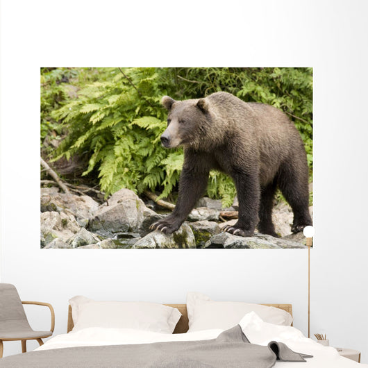 Adult Brown Bear Standing Wall Decal