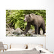 Adult Brown Bear Standing Wall Decal