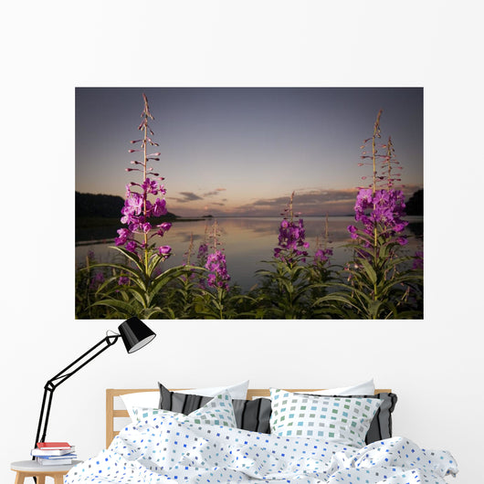 Up Fireweed with Big Wall Decal