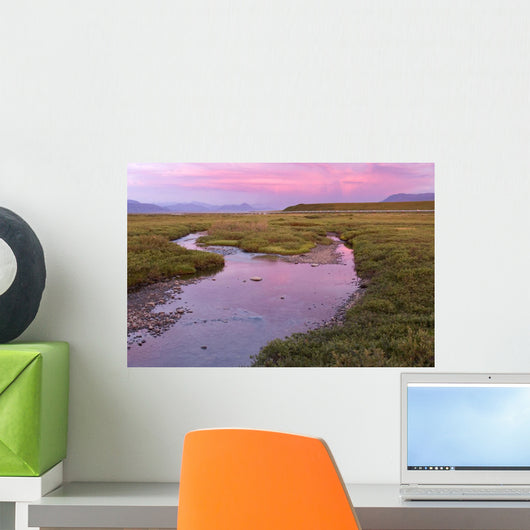 Sunset Light Reflecting Wall Decal